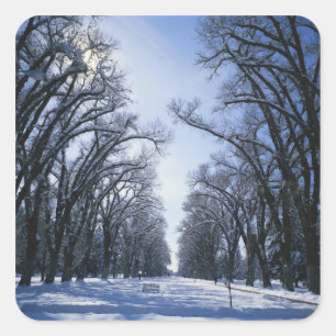 USA, Utah, Salt Lake City, Liberty Park, Square Sticker