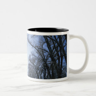 USA, Utah, Salt Lake City, Liberty Park, Two-Tone Coffee Mug