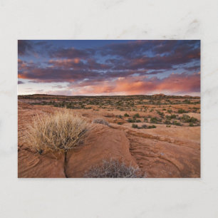 USA, Utah. Sunset on Poison Spider Mesa near Postcard