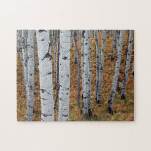USA, Utah, Uinta-Wasatch-Cache National Forest 2 Jigsaw Puzzle