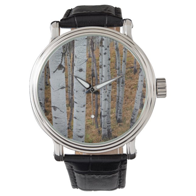 USA, Utah, Uinta-Wasatch-Cache National Forest 2 Watch (Front)