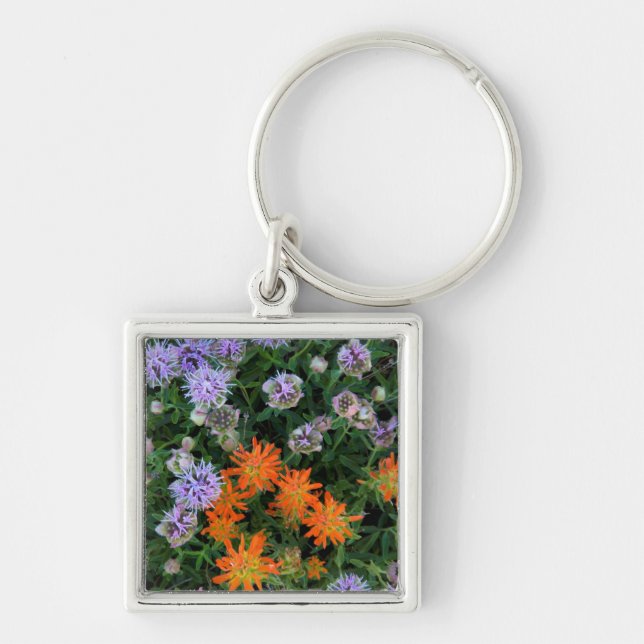 USA, Utah, Uinta-Wasatch-Cache National Forest 3 Keychain (Front)
