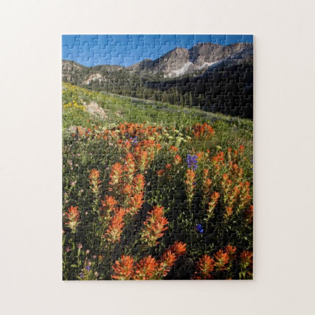USA, Utah, Uinta-Wasatch-Cache National Forest Jigsaw Puzzle (Vertical)
