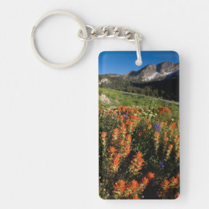 USA, Utah, Uinta-Wasatch-Cache National Forest Keychain