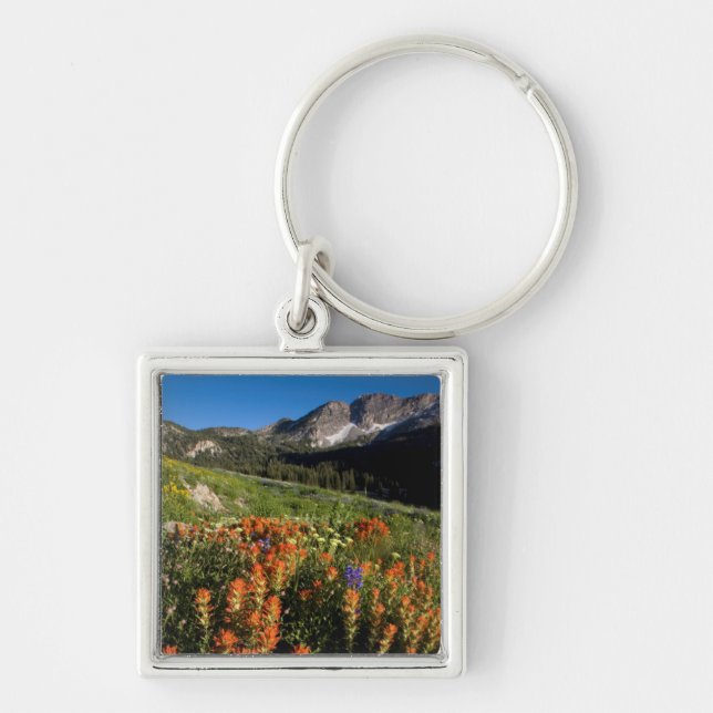 USA, Utah, Uinta-Wasatch-Cache National Forest Keychain (Front)