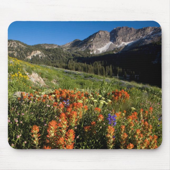 USA, Utah, Uinta-Wasatch-Cache National Forest Mouse Pad (Front)