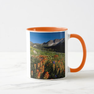 USA, Utah, Uinta-Wasatch-Cache National Forest Mug