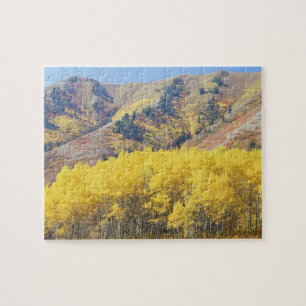 USA, Utah, Wasatch-Cache National Forest, Jigsaw Puzzle