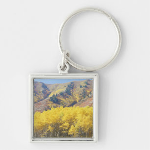 USA, Utah, Wasatch-Cache National Forest, Keychain