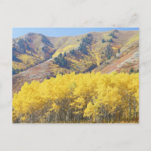 USA, Utah, Wasatch-Cache National Forest, Postcard
