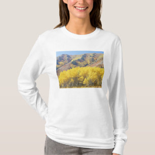 USA, Utah, Wasatch-Cache National Forest, T-Shirt