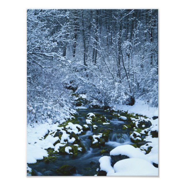 USA, Utah, Wasatch-Catch National Forest, Photo Print (Front)