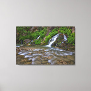 USA, Utah, Zion National Park. Big Springs in Canvas Print