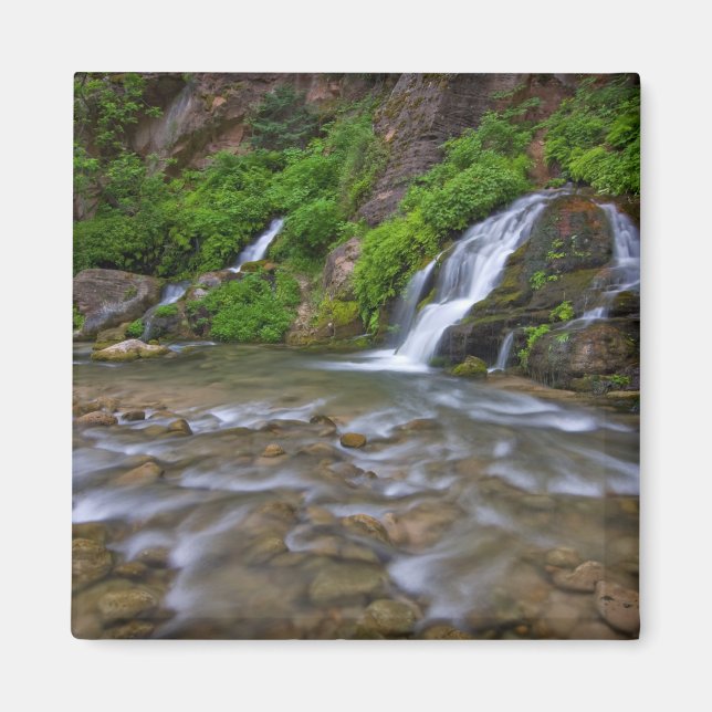 USA, Utah, Zion National Park.  Big Springs in Magnet (Front)