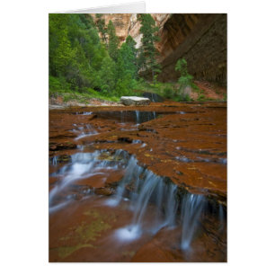 USA, Utah, Zion National Park. Scenic from