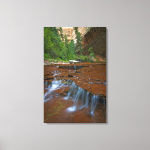 USA, Utah, Zion National Park. Scenic from 2 Canvas Print