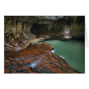 USA, Utah, Zion National Park. Scenic from 3
