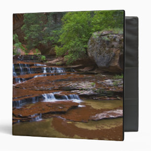 USA, Utah, Zion National Park. Scenic from 4 Binder