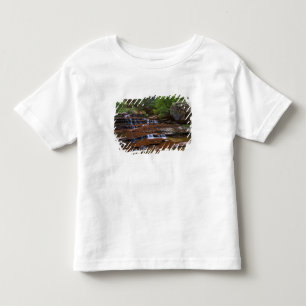 USA, Utah, Zion National Park. Scenic from 4 Toddler T-shirt