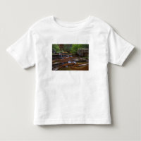 USA, Utah, Zion National Park. Scenic from 4