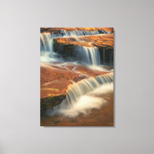 USA, Utah, Zion National Park. Scenic from Canvas Print