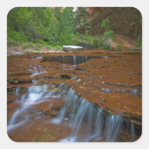 USA, Utah, Zion National Park. Scenic from Square Sticker