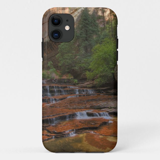 USA, Utah, Zion National Park.  Scenic from the Case-Mate iPhone Case (Back)