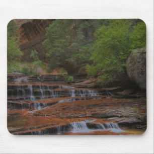 USA, Utah, Zion National Park.  Scenic from the Mouse Pad