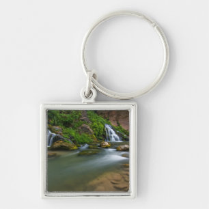 USA, Utah, Zion National Park. The Virgin Keychain