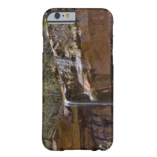 USA, Utah, Zion National Park, Water Falls at Barely There iPhone 6 Case