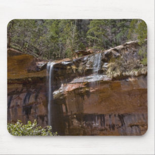 USA, Utah, Zion National Park, Water Falls at Mouse Pad