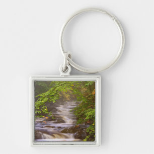 USA, Vermont, East Arlington, Flowing streams Keychain