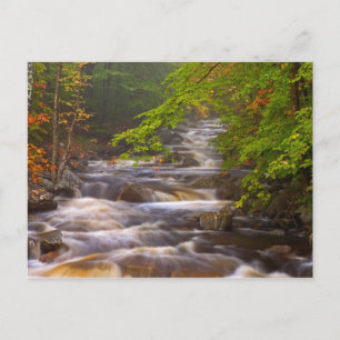USA, Vermont, East Arlington, Flowing streams Postcard