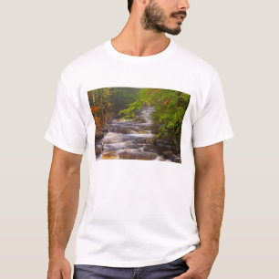 USA, Vermont, East Arlington, Flowing streams T-Shirt