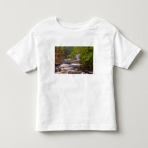 USA, Vermont, East Arlington, Flowing streams Toddler T-shirt