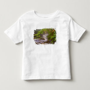 USA, Vermont, East Arlington, Flowing streams Toddler T-shirt