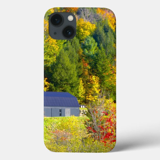 USA, Vermont. Fall foilage along Highway 100. Case-Mate iPhone Case (Back)