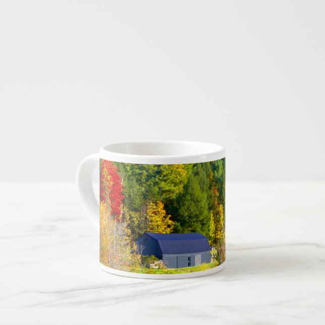 USA, Vermont. Fall foilage along Highway 100. Espresso Cup (Front Left)