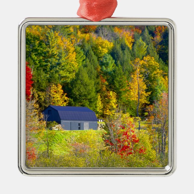 USA, Vermont. Fall foilage along Highway 100. Metal Ornament (Front)