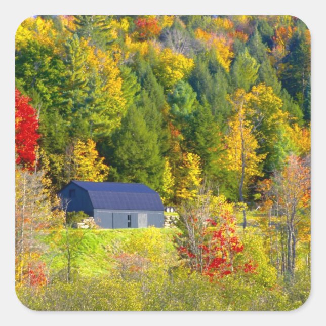 USA, Vermont. Fall foilage along Highway 100. Square Sticker (Front)