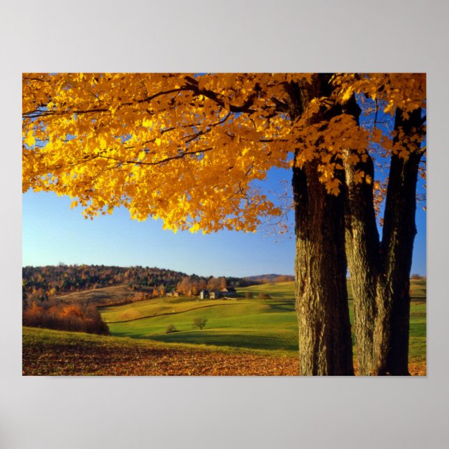 USA, Vermont. Farm Scenic Near South Woodstock Poster (Front)