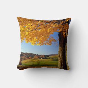 USA, Vermont. Farm Scenic Near South Woodstock Throw Pillow