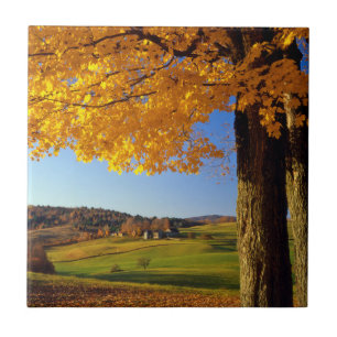 USA, Vermont. Farm Scenic Near South Woodstock Tile