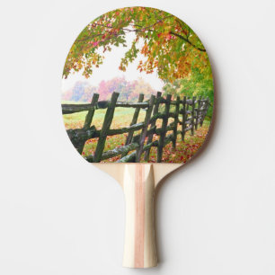 USA, Vermont. Fence under fall foliage. Ping Pong Paddle