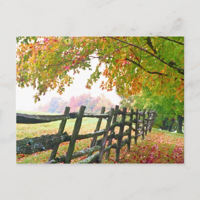 USA, Vermont. Fence under fall foliage. Postcard (Front)