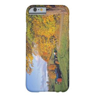 USA, Vermont, Jenne Farm. Fall comes to Jenne Barely There iPhone 6 Case