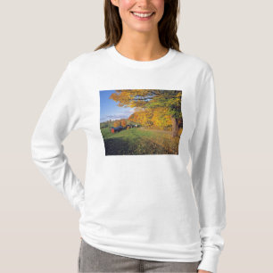 USA, Vermont, Jenne Farm. Fall comes to Jenne T-Shirt