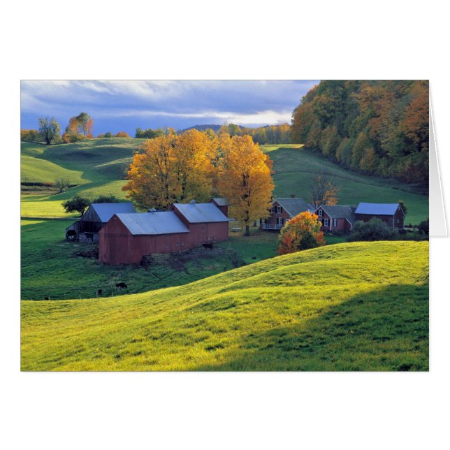 USA, Vermont, Jenne Farm. Rolling green hills (Front Horizontal)