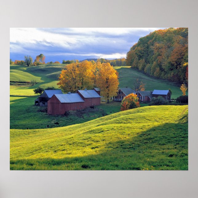 USA, Vermont, Jenne Farm. Rolling green hills Poster (Front)