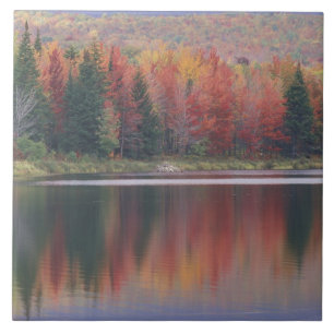 USA, Vermont, McAllister Lake, near Hazens Notch Tile
